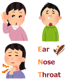 診療案内耳鼻喉ENT130×155